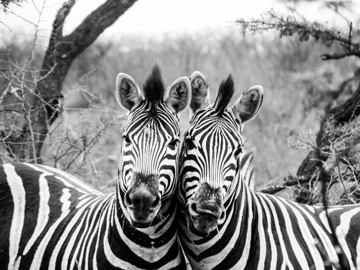 African Spirit Game Lodge Mkuze Exterior foto